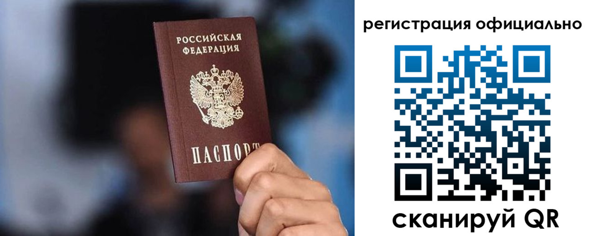 прописка гарантия в Зеленогорске